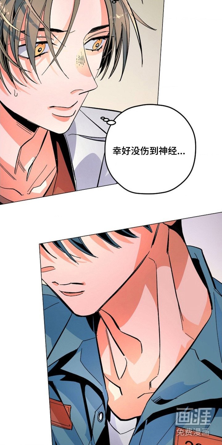 第3章：处理伤口