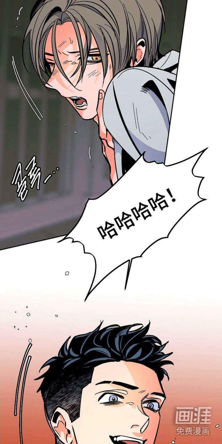 第8章：暴力
