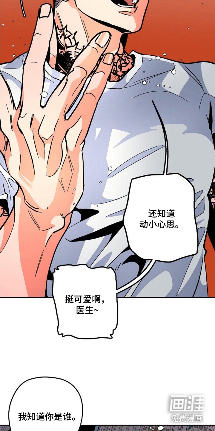 第8章：暴力