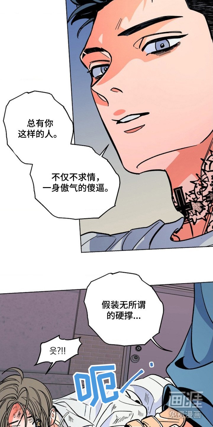 第8章：暴力