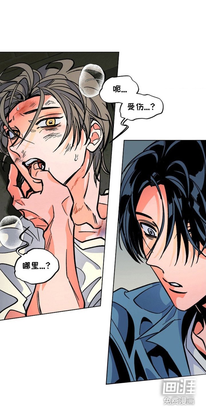 第9章：证明价值