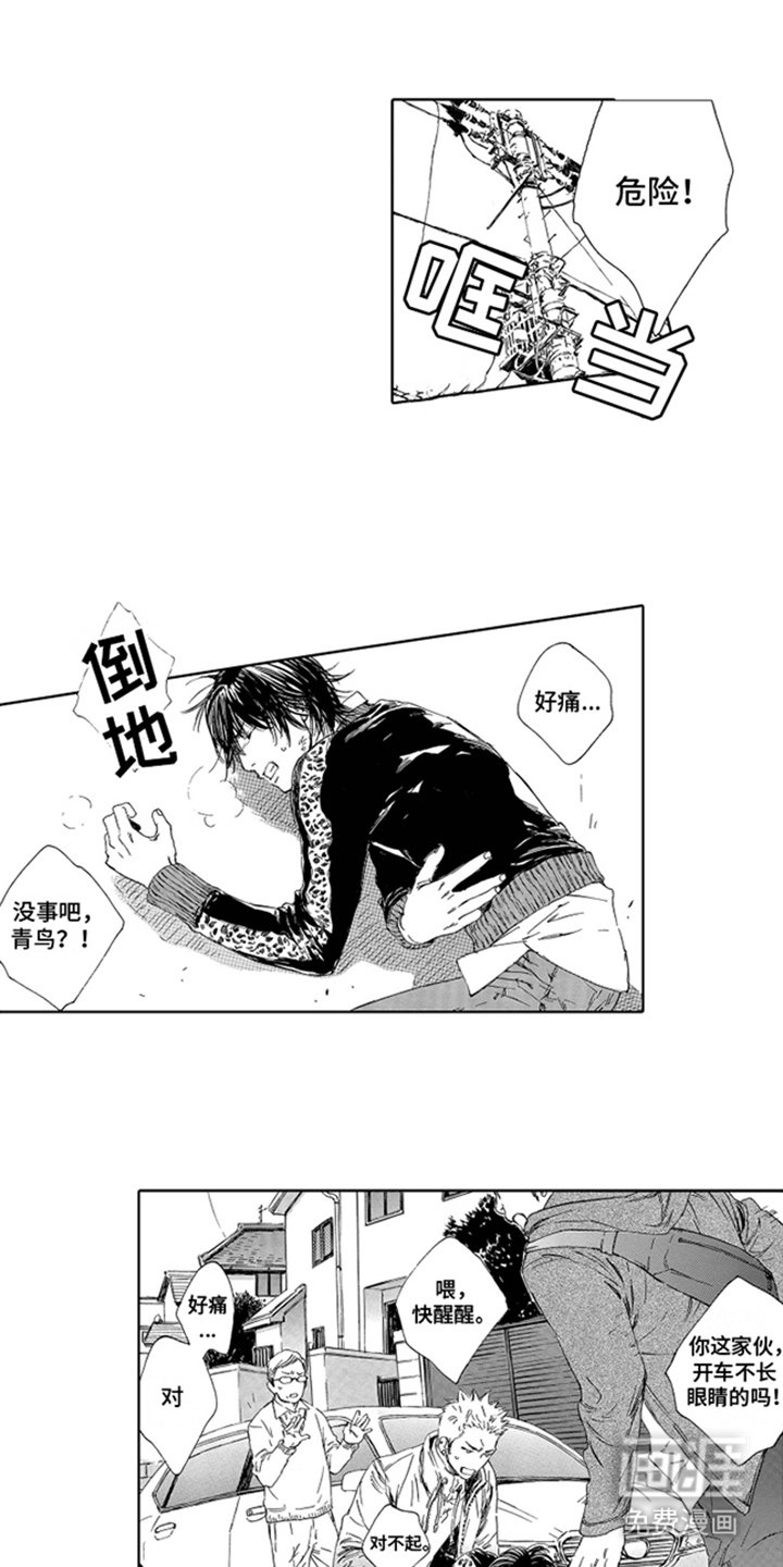 第1章：碰瓷