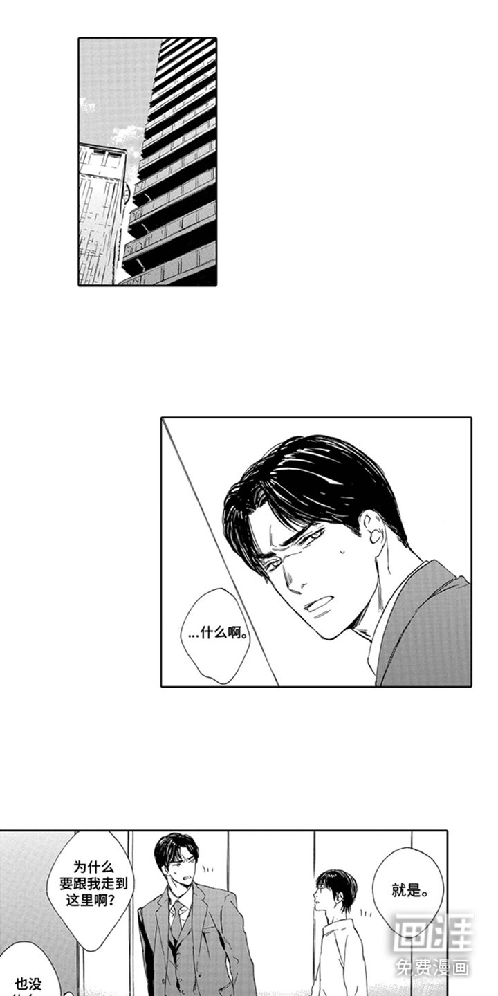 第18章：成人套餐