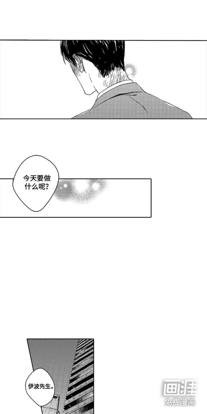 第18章：成人套餐
