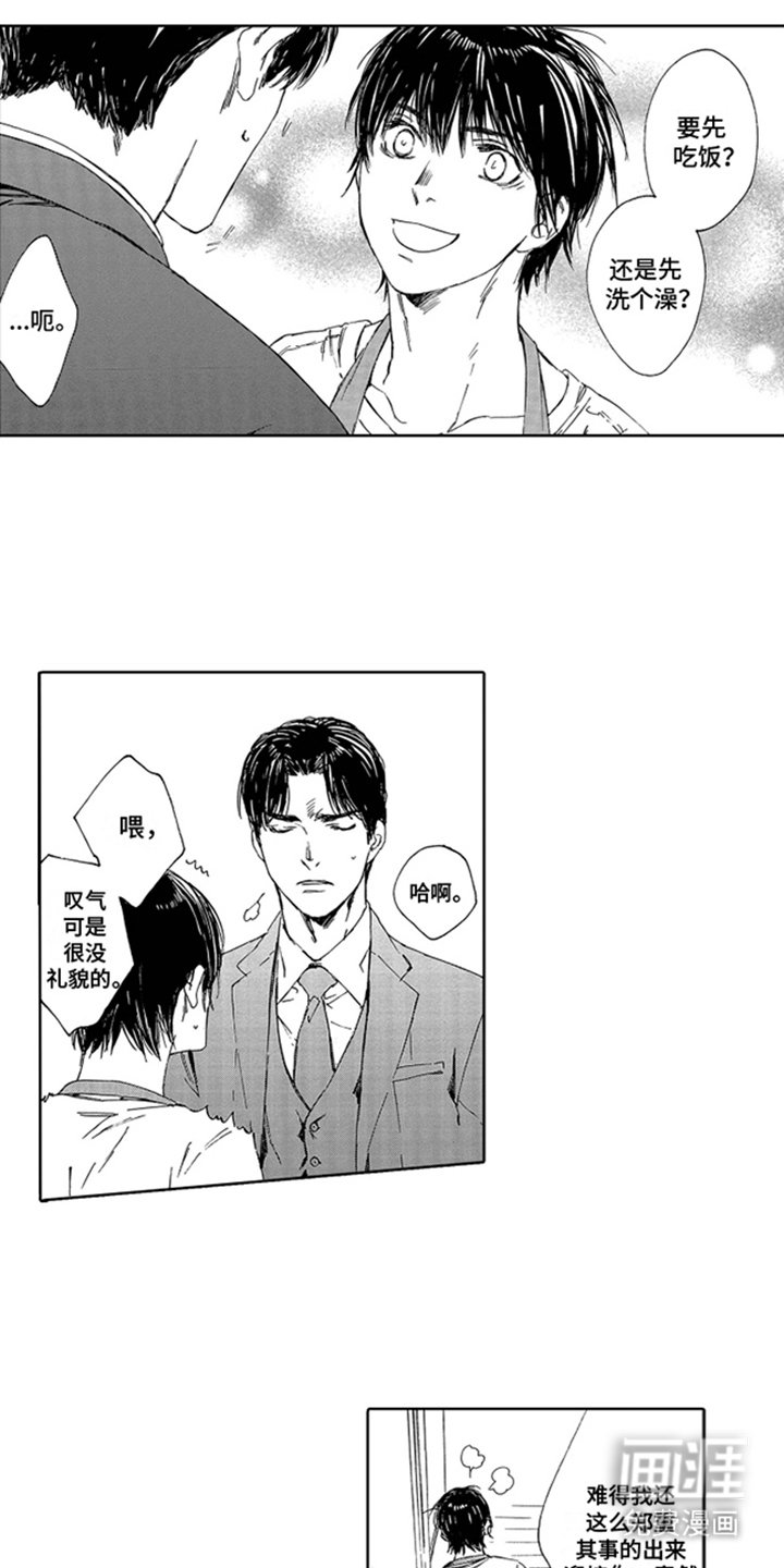 第18章：成人套餐