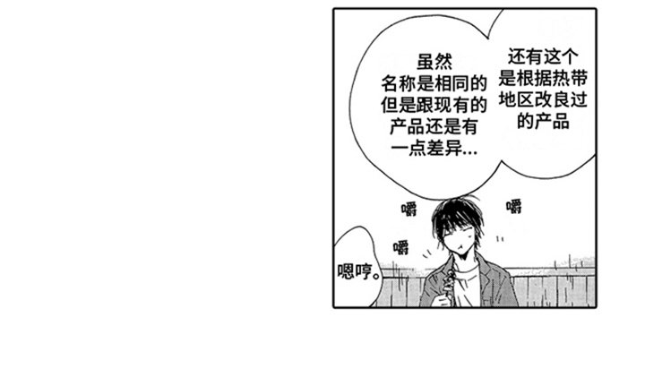 第23章：公司社长