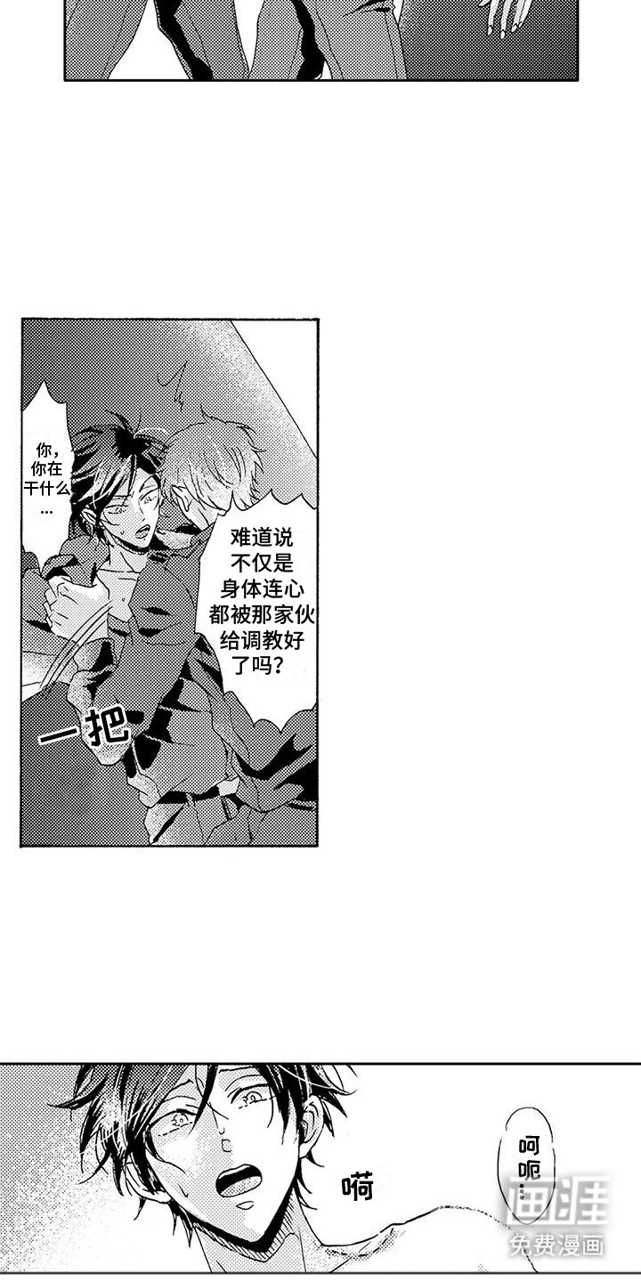 第19章：证据