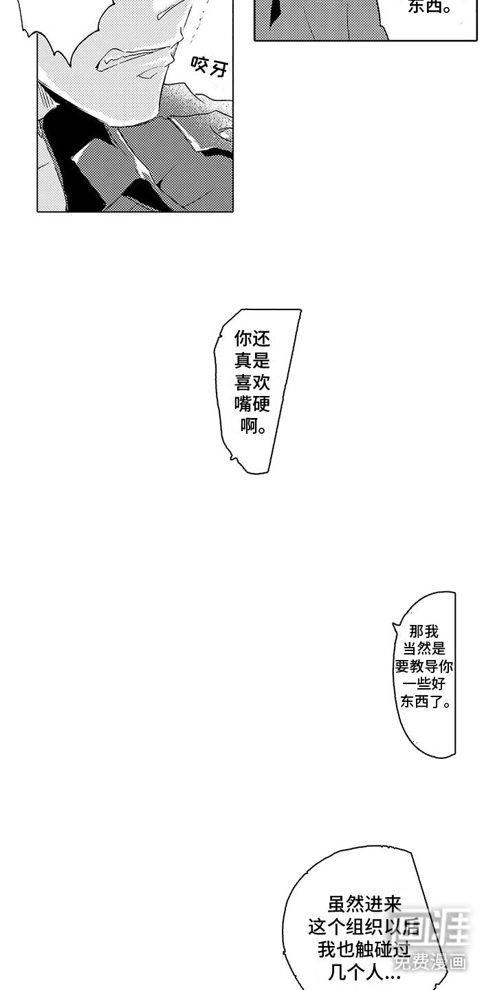 第9章：小老鼠