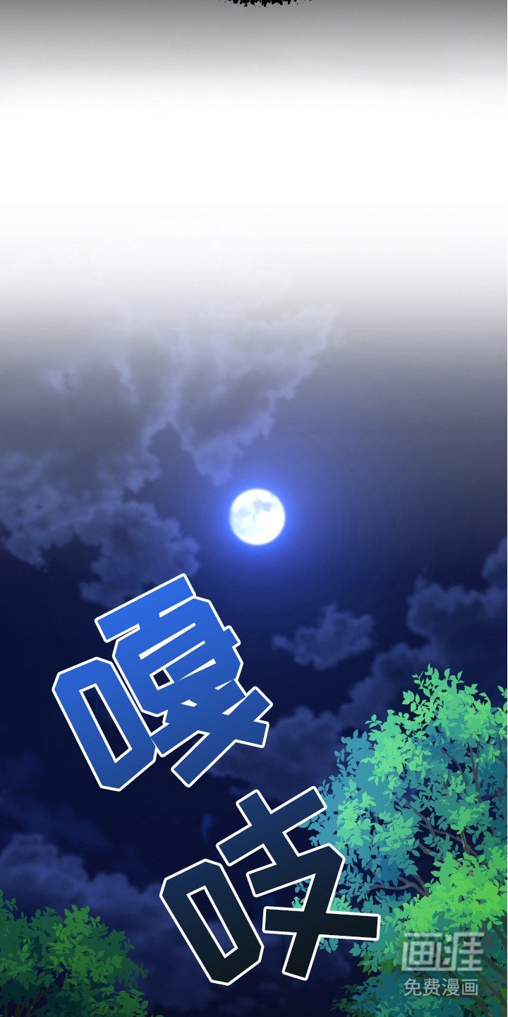 第11章：弱点