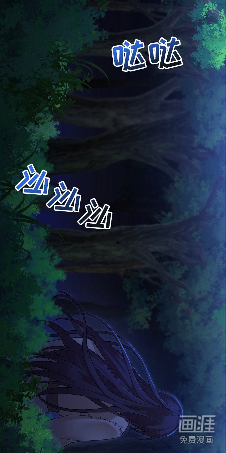 第11章：弱点