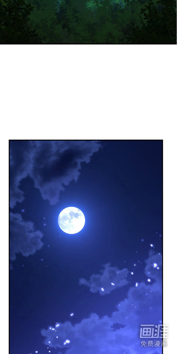 第11章：弱点