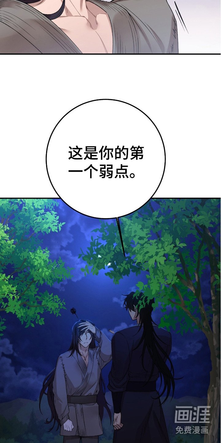 第11章：弱点