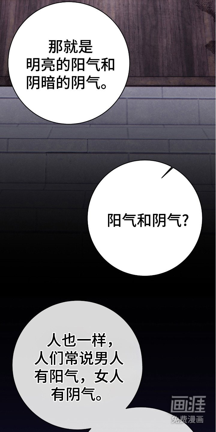 第18章：代用品
