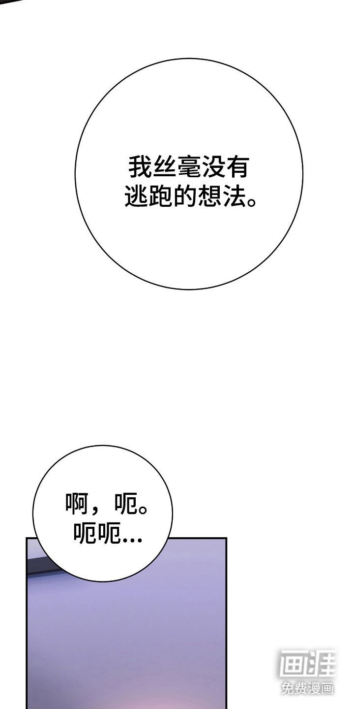 第19章：不会逃跑