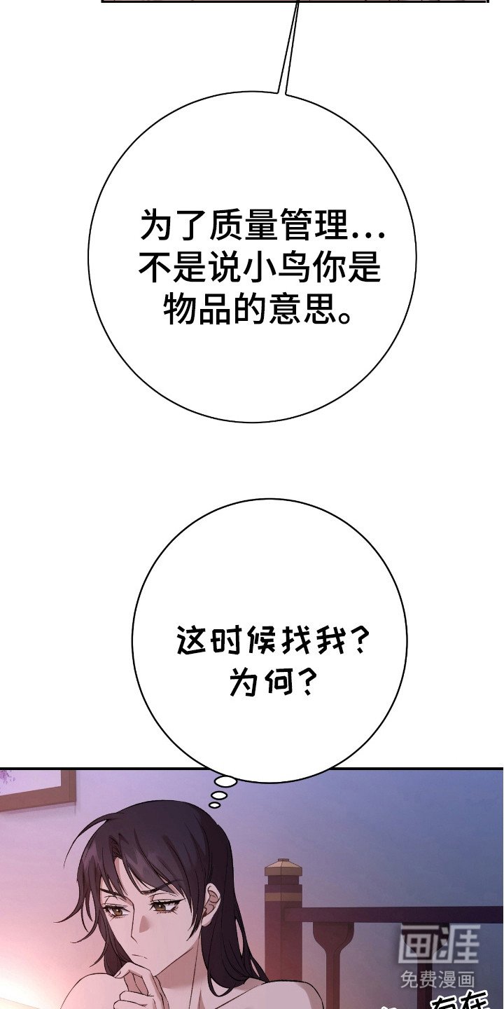 第19章：不会逃跑