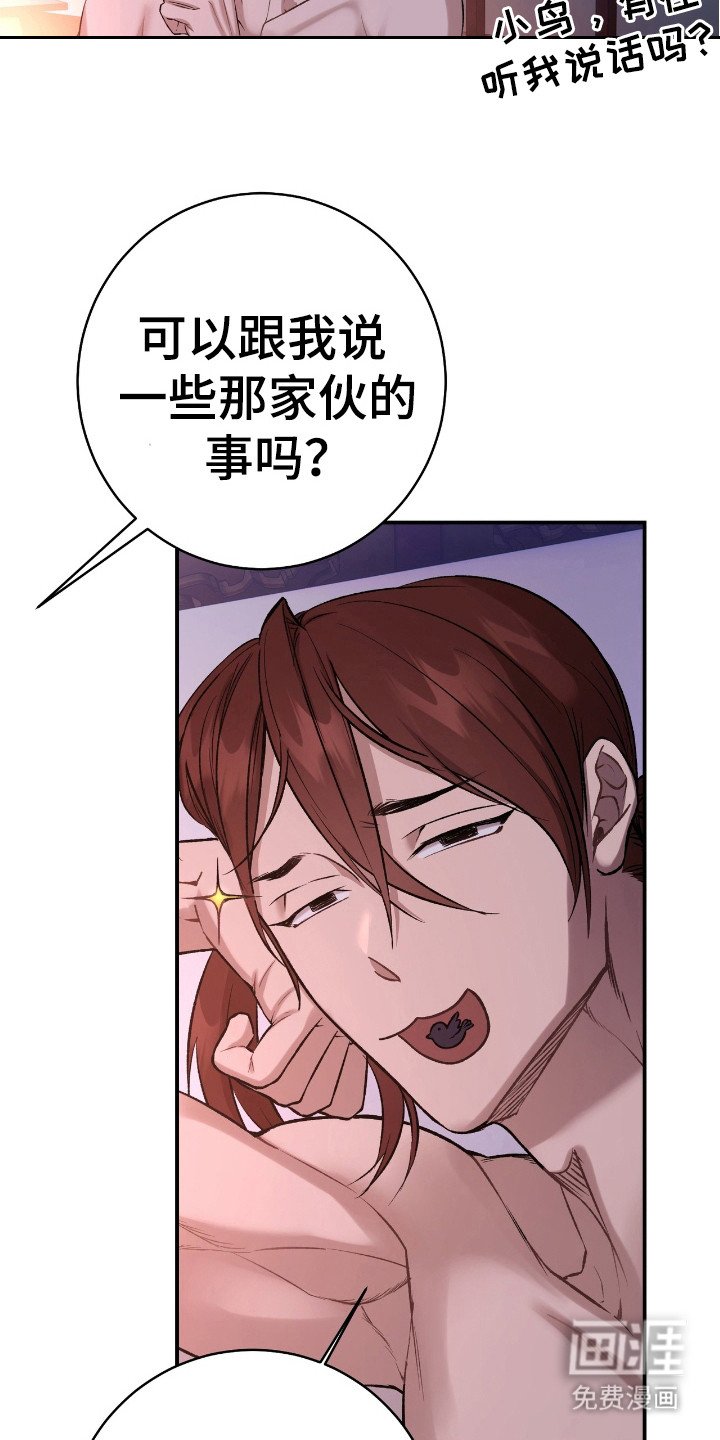 第19章：不会逃跑