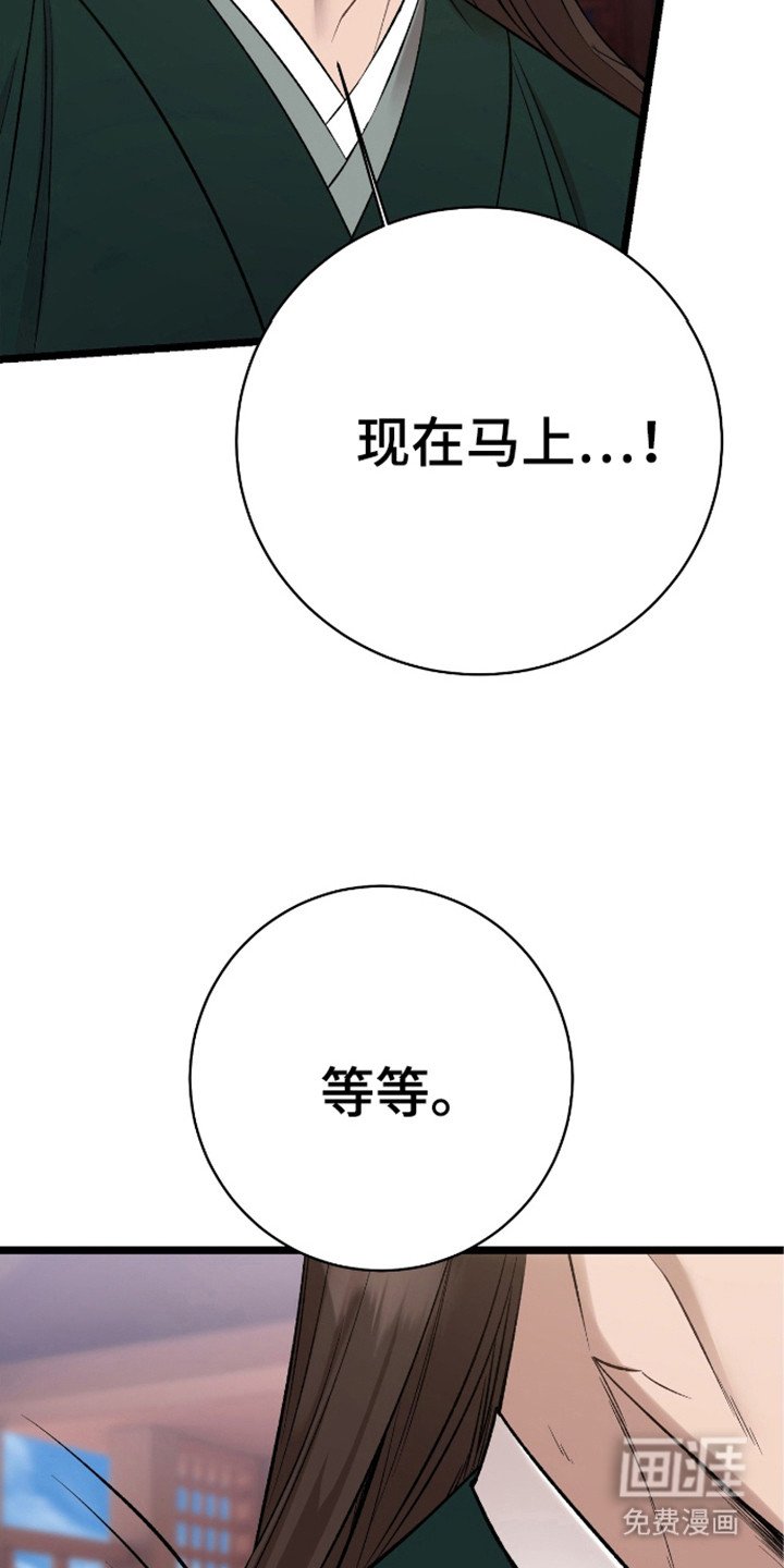 第27章：掌门人