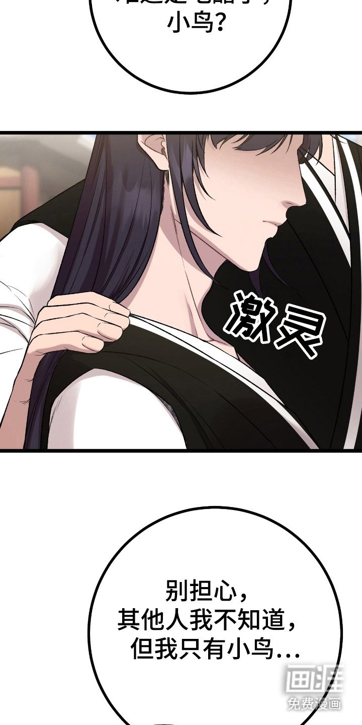 第31章：坠入爱河