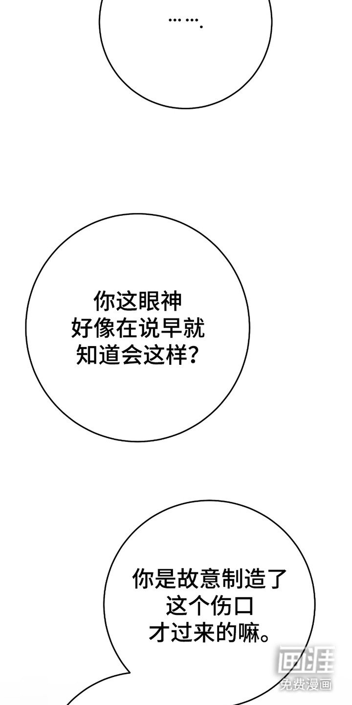 第40章：桃花