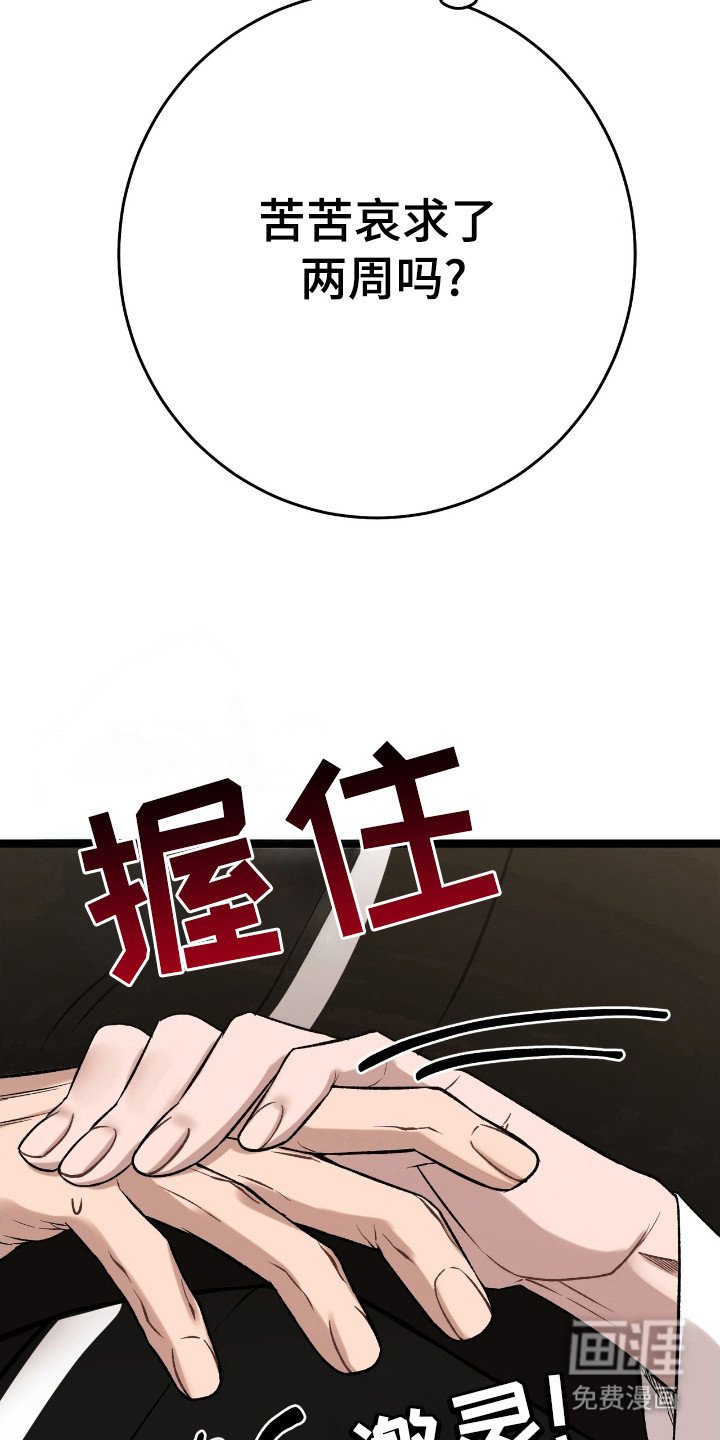第41章：吃醋