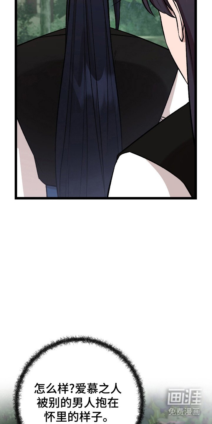 第49章：策划一切