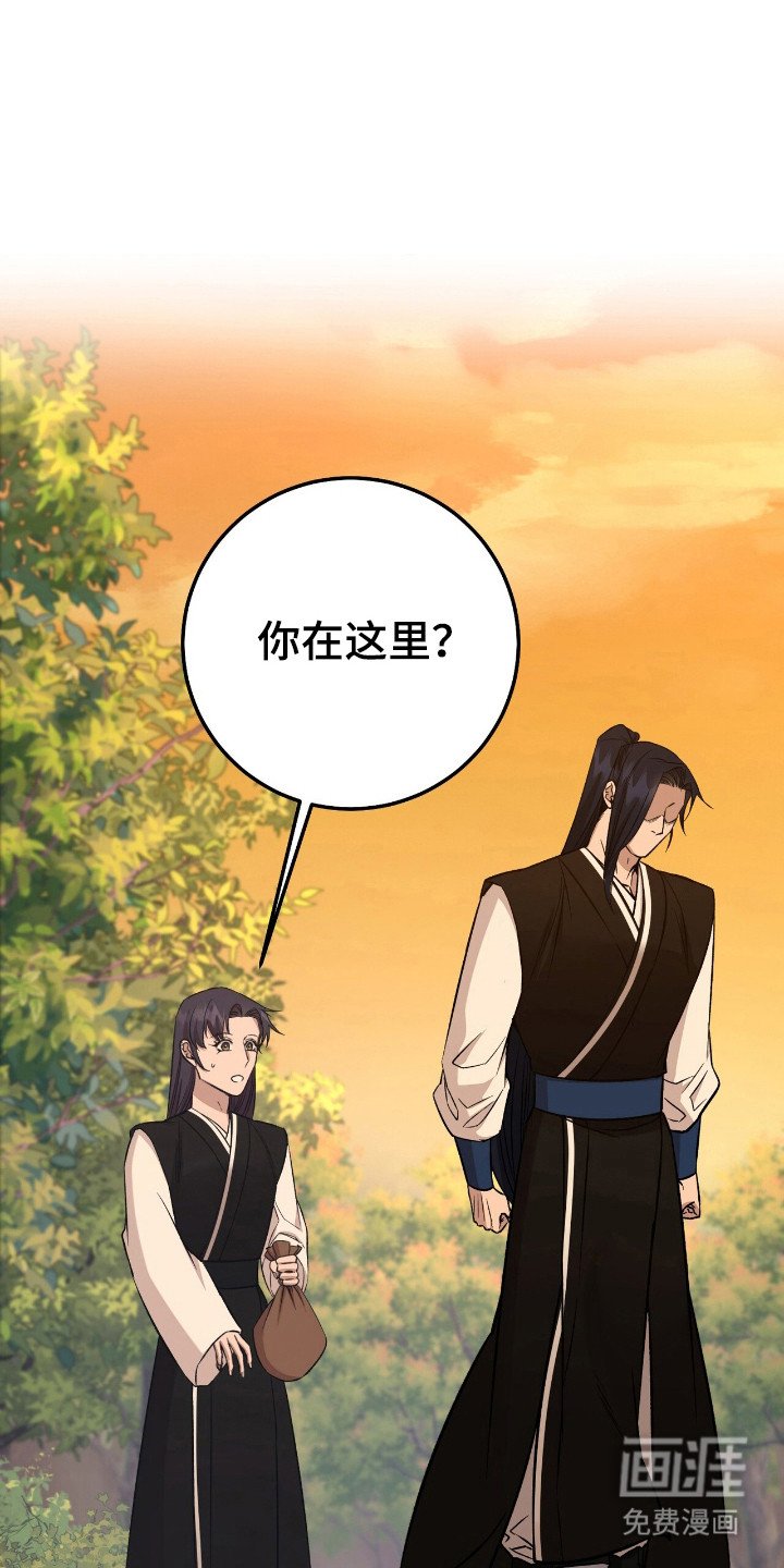 第49章：策划一切