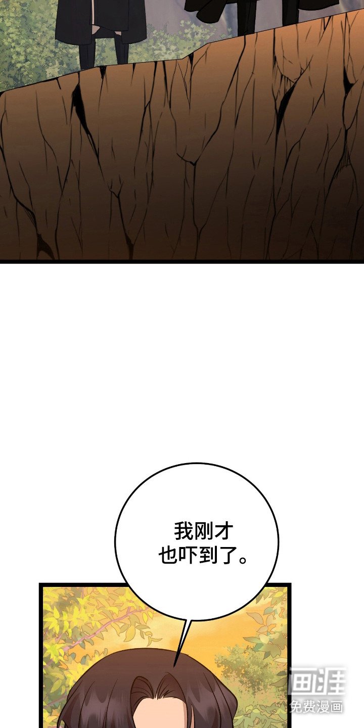 第49章：策划一切