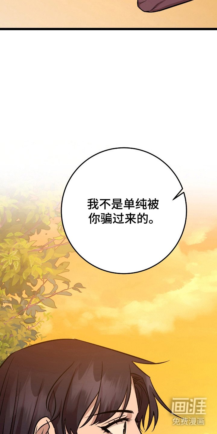 第49章：策划一切
