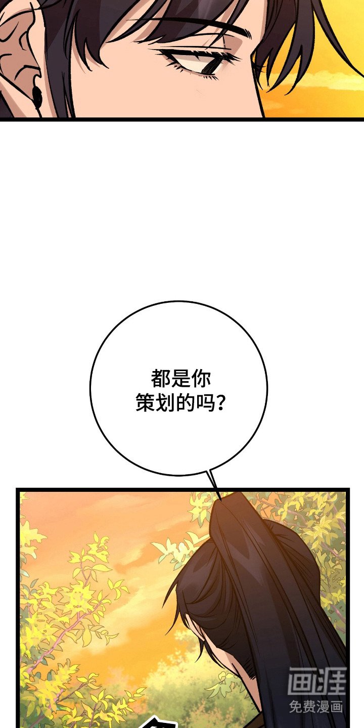 第49章：策划一切