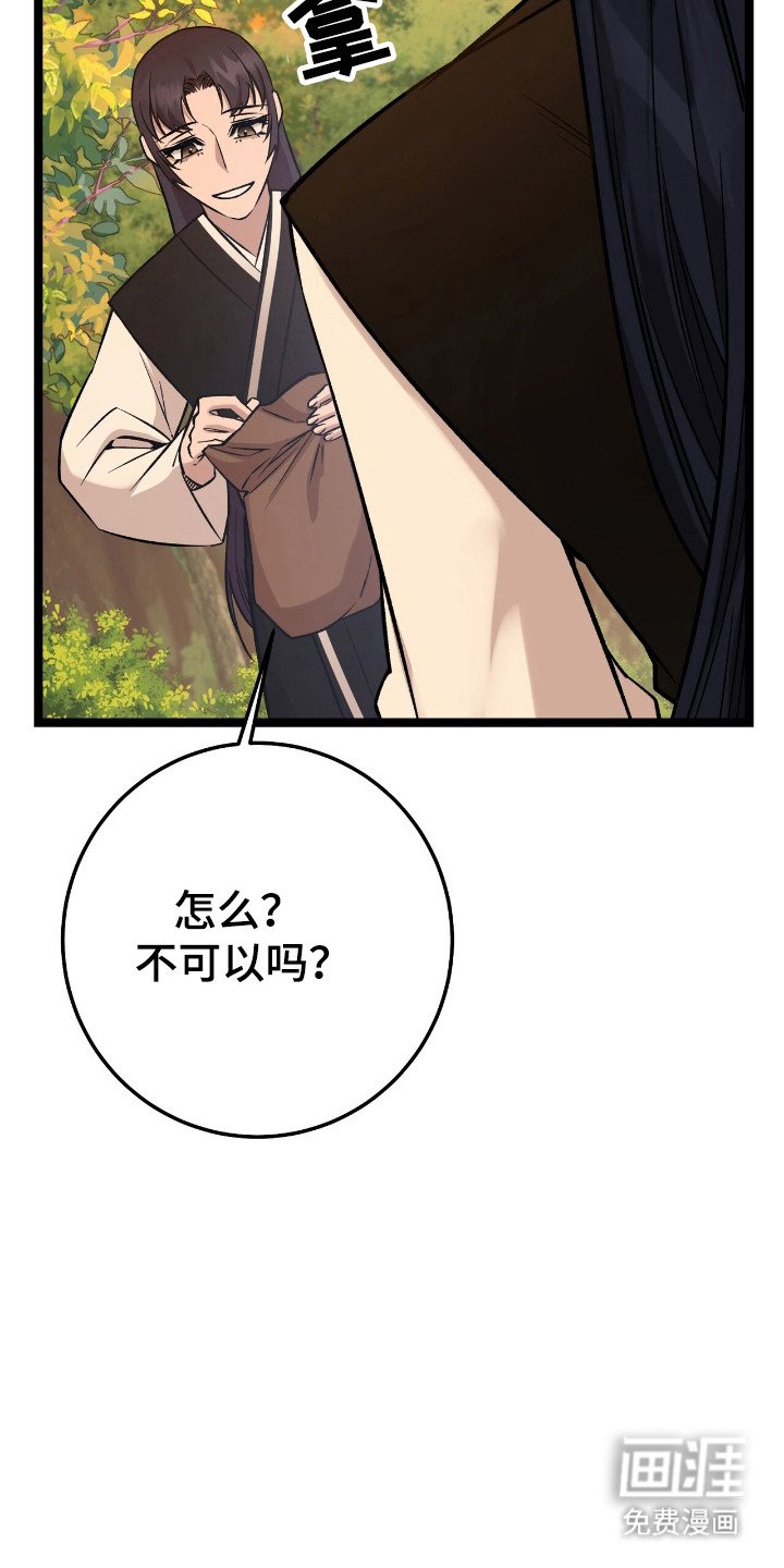 第49章：策划一切
