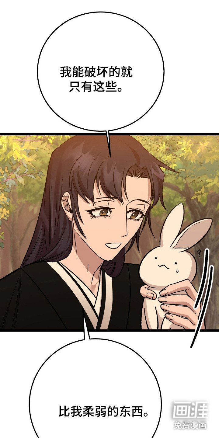 第49章：策划一切