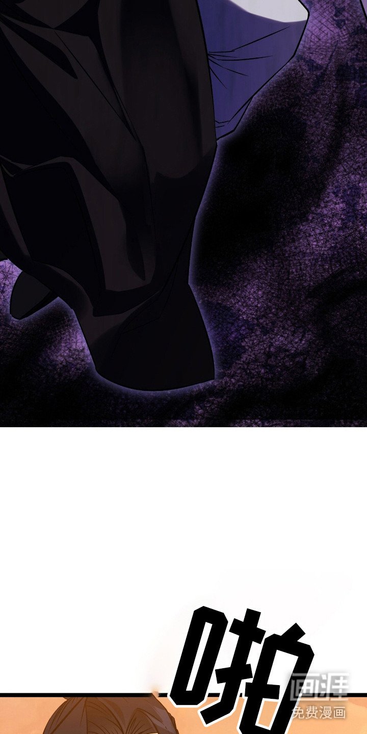 第49章：策划一切