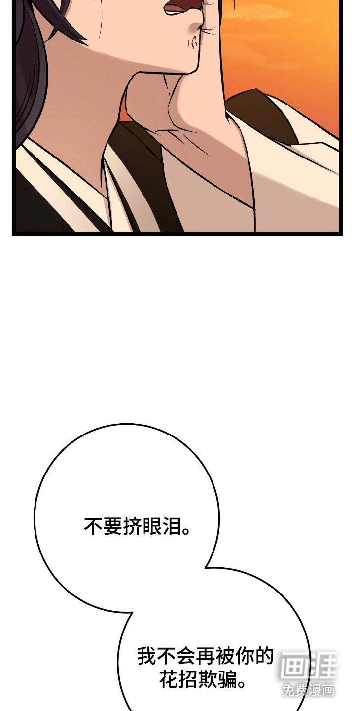 第50章：某种结论
