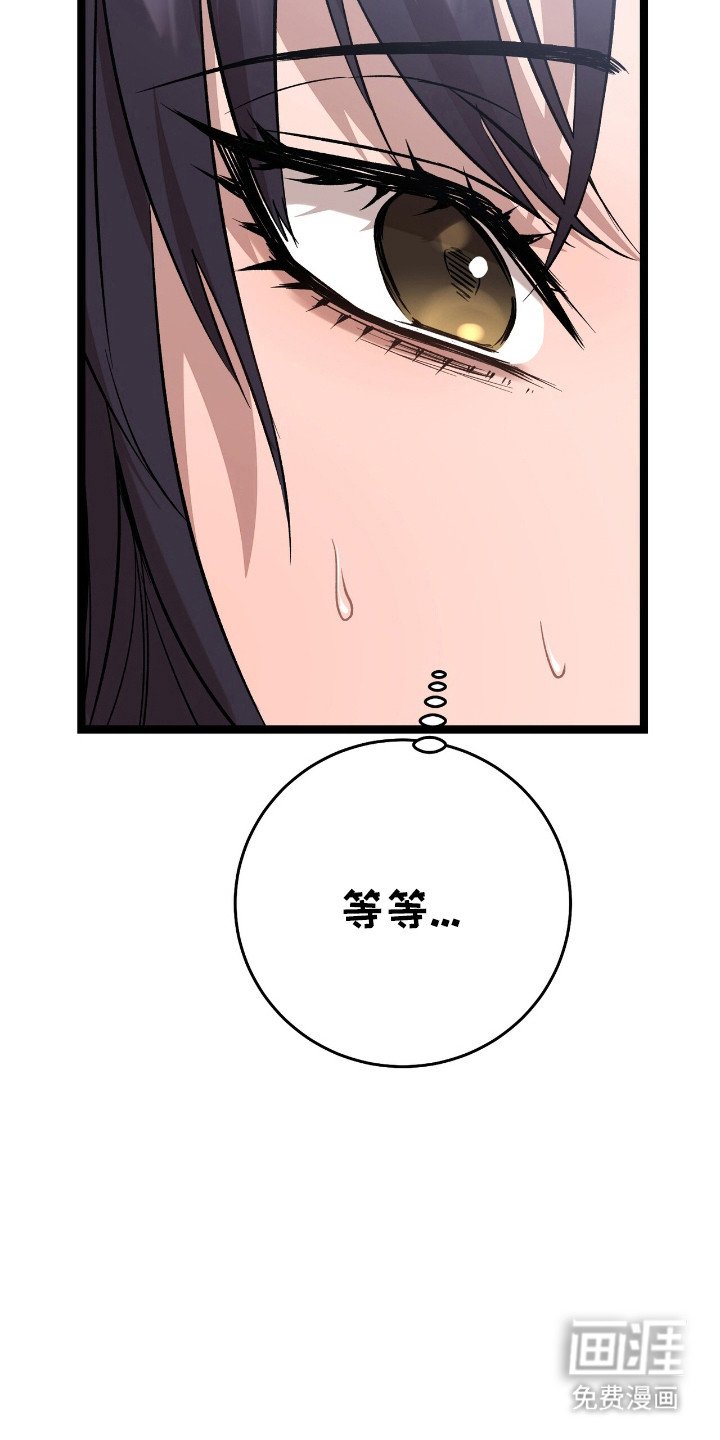 第66章：面目全非