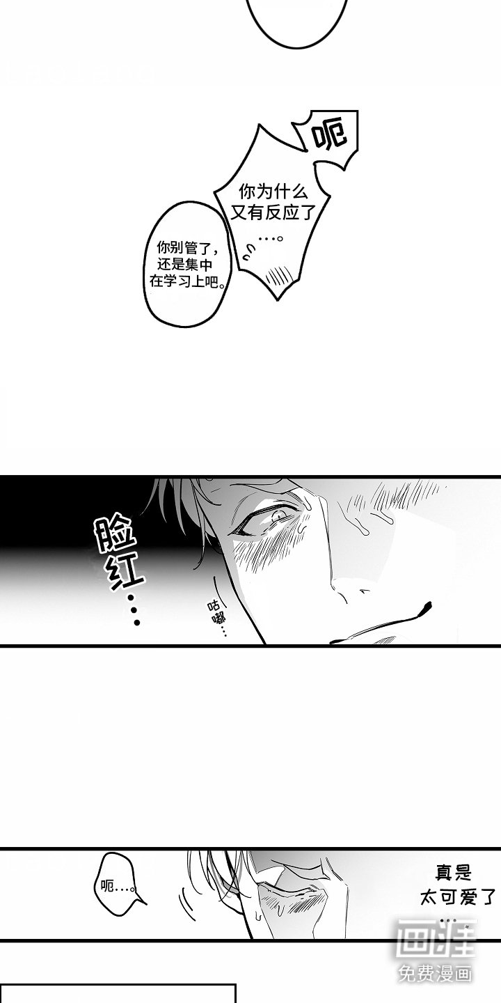 第4章：选择