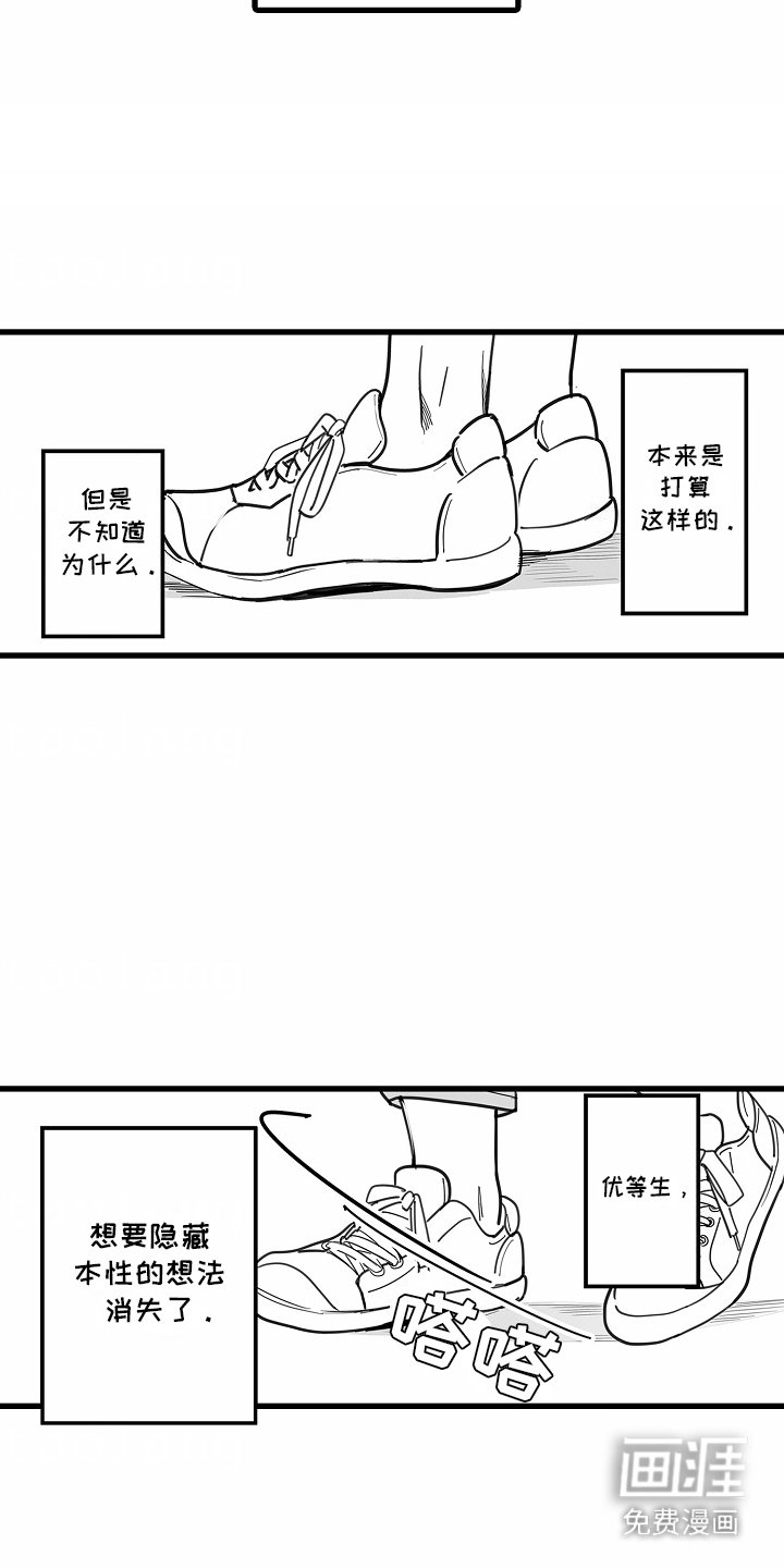 第4章：选择