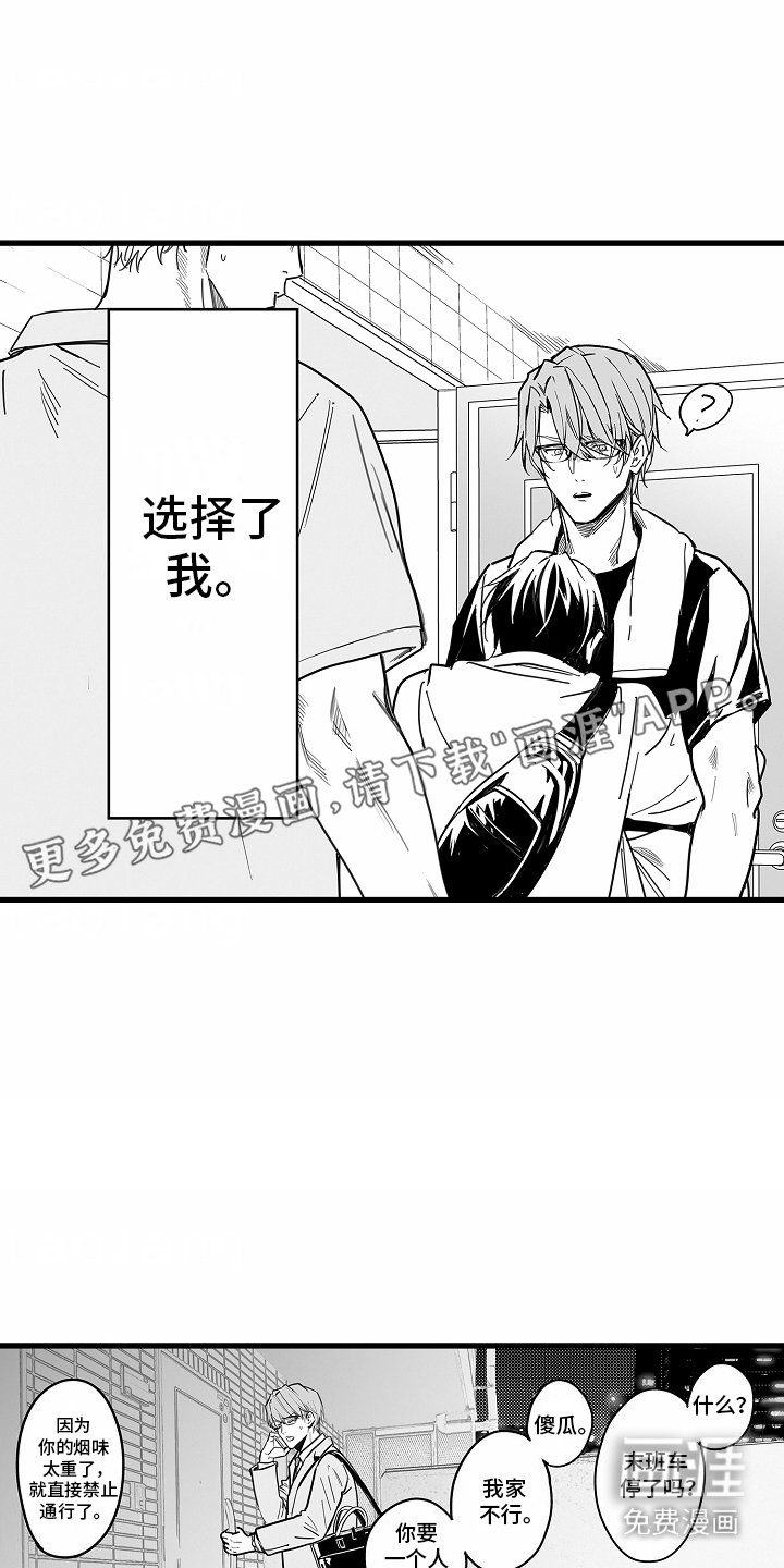 第4章：选择