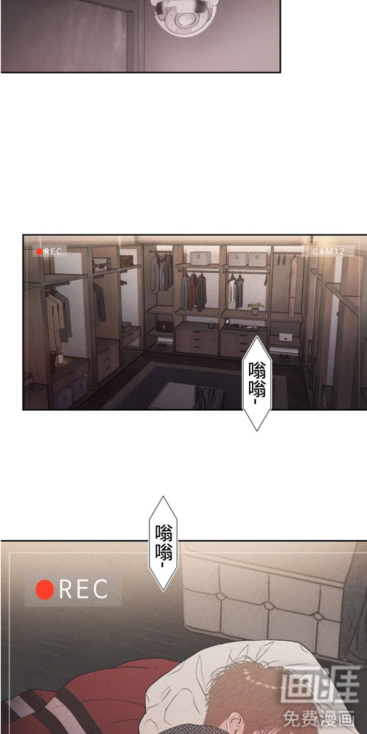 第13章：抛弃一切
