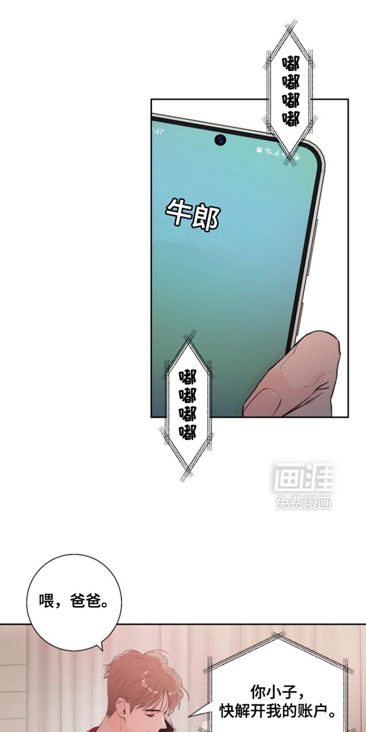 第14章：冻结账户