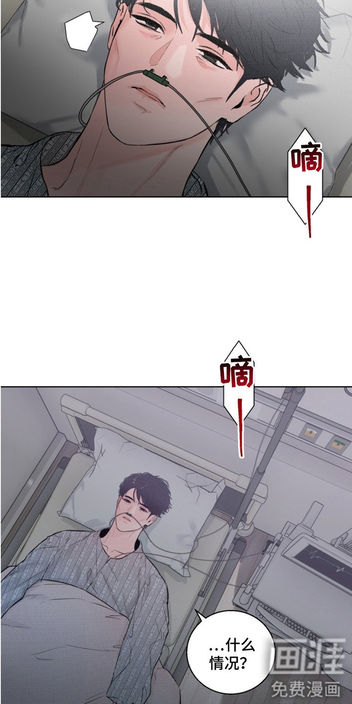 第2章：车祸