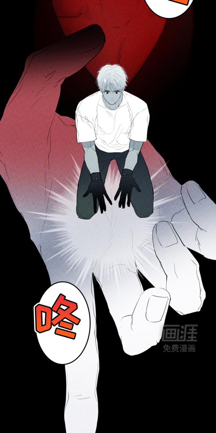 第24章：回归正常生活