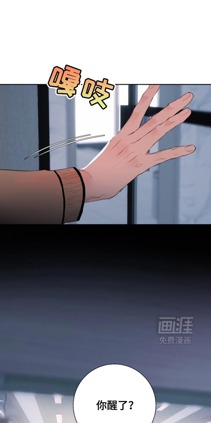 第24章：回归正常生活