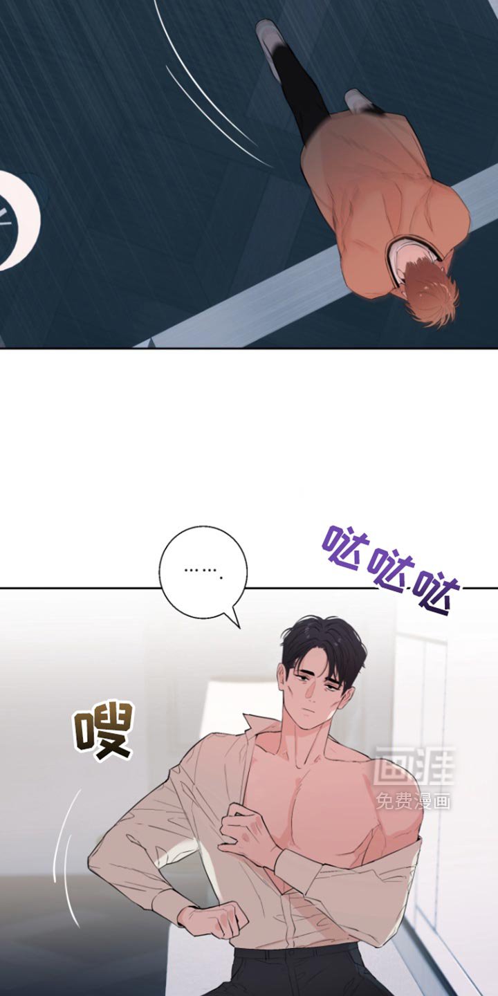 第25章：为什么停下