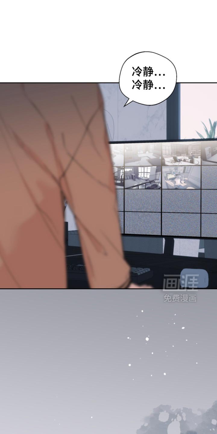 第27章：伪装