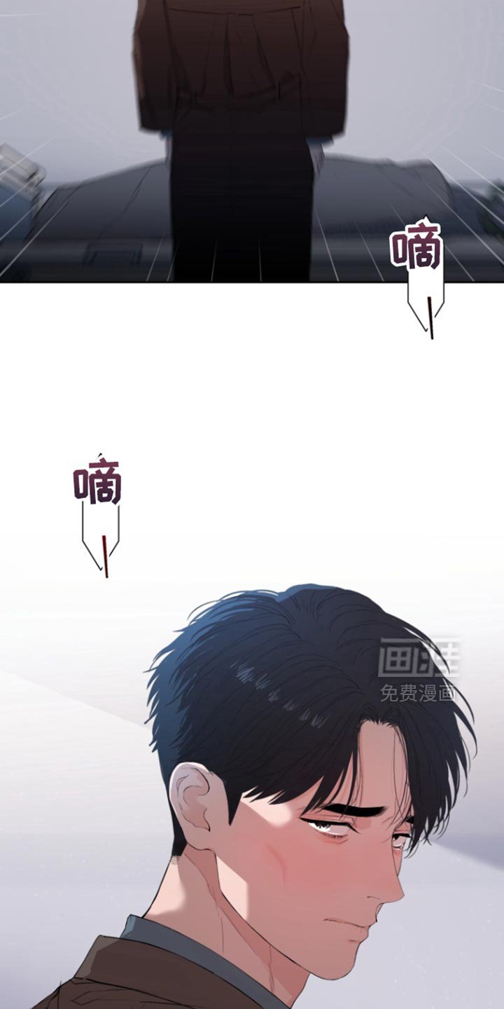 第27章：伪装