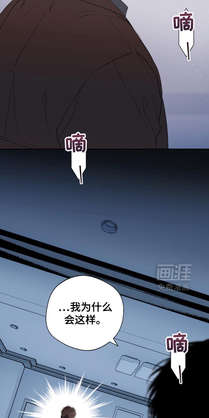 第27章：伪装