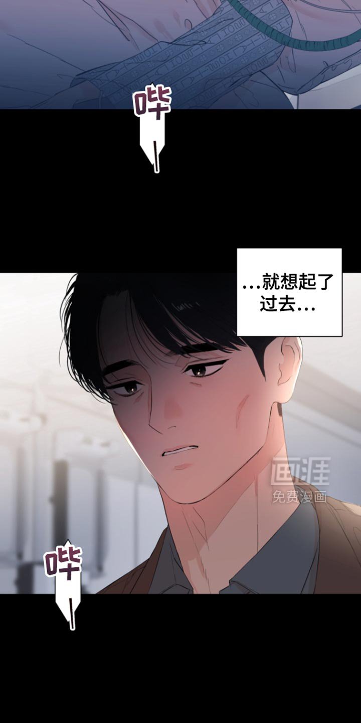 第29章：很像你