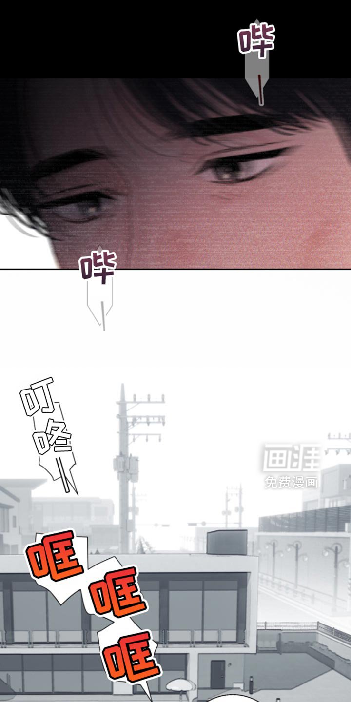 第29章：很像你