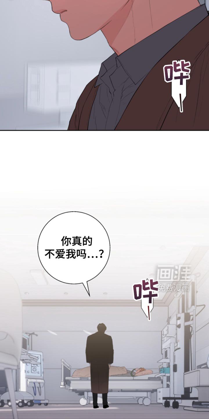 第29章：很像你