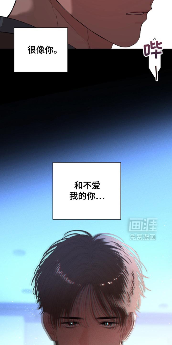 第29章：很像你